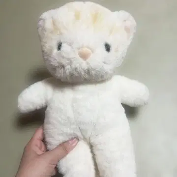 고양이 봉제 인형