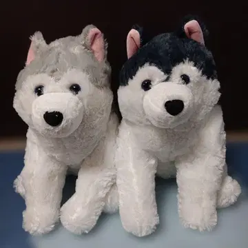 복슬복슬 시베리안 허스키 2종 세트