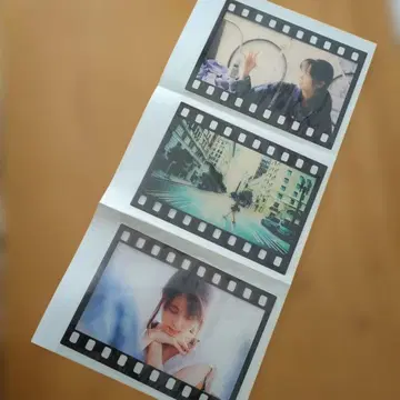 ZARD 사카이 이즈미 2011 WEZARD 필름 스타일 사진 6장 레어