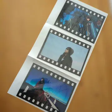 ZARD 사카이 이즈미 씨 2011 필름 스타일 사진 6장 세트 레어