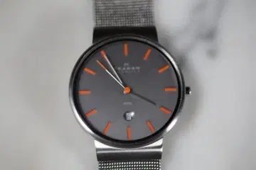 [미사용] SKAGEN 메탈 벨트