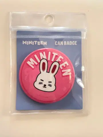 SEVENTEEN 미니틴 캔배치