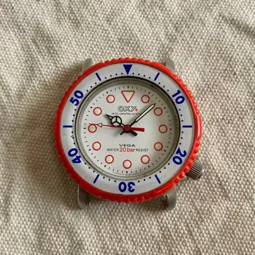 시티즌 옥시 베가 정크