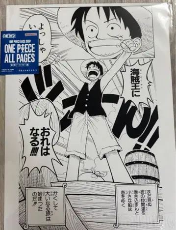 원피스 베이스샵 한정판 ONE PIECE ALL PAGES 루피