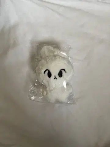 nct 도영 비둘기