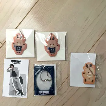 RIIZE 랜덤 토이 랜덤 마그넷 참 PVC 성찬