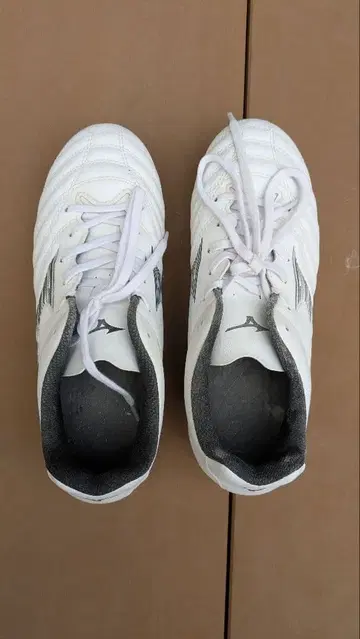 미즈노 모나르시다 네오 축구화 22.5