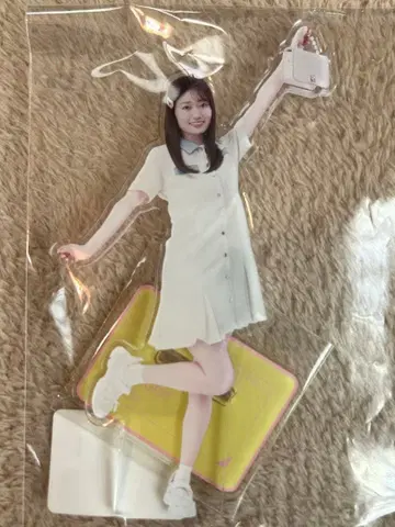 노기자카46 노기자카 모바일 노기BOX A/W 2025 아타고 코쿄 A상