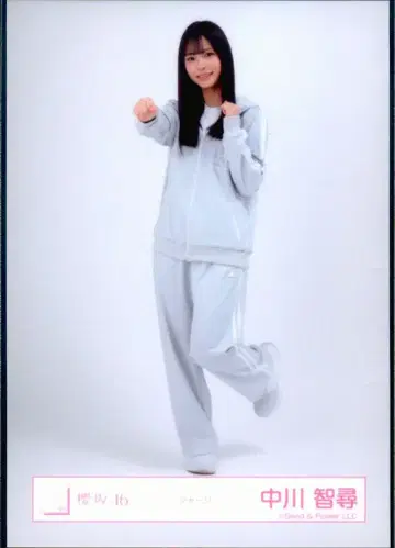 사쿠라자카46 2026년 1월 브로마이드 나카가와 치히로 저리 히키