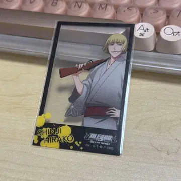 BLEACH 히라코 신지 트레이딩 포토 카드 브레솔 블리치
