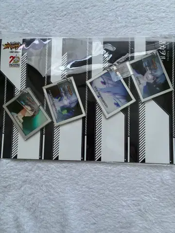 신세기 에반게리온 ~미래로의 포효~ 아크릴 키링 나기사 카오루