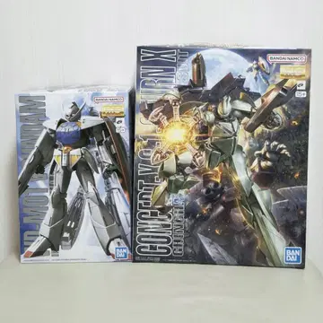 1/100 MG 턴에이 건담 & 턴엑스