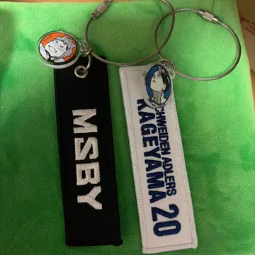 하이큐 크로스 키링 10주년 히나타 카게야마 낱개 판매 불가