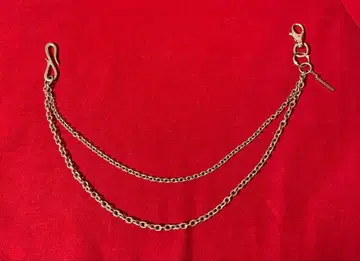 Radmess Men's BIGI 금속제 이중 체인 지갑 체인