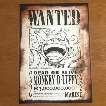 원피스 베이스샵 루피 수배서