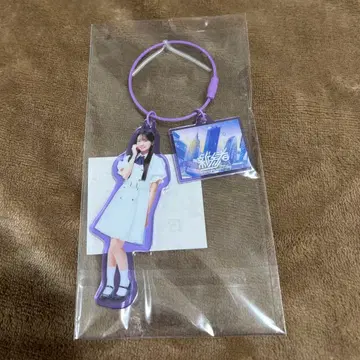 세토구치 신게츠 신참자 아크릴 참