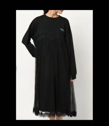 candy stripper 튤 롱 원피스 공룡 자수