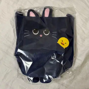 RIIZE 도쿄돔 원빈 팬 라이트백 응원봉 백