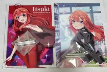 5등분의 신부 나카노 이츠키 아크릴 보드 사쿠라 사쿠!