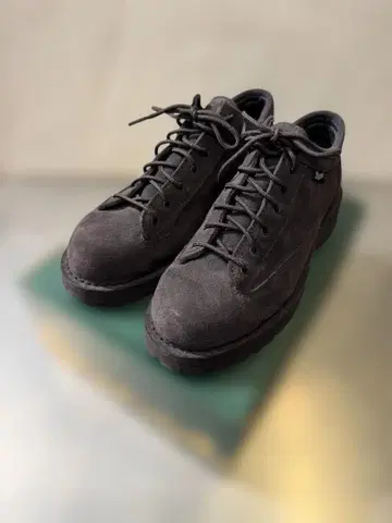 DANNER FIELD LOW GORE-TEX BEAUTY&YOUTH