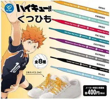 하이큐!! 신발끈 신발끈 가챠 컴플리트 전 8종 세트