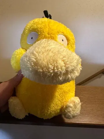 레어 코닥 봉제 인형 [ 새상품 ]