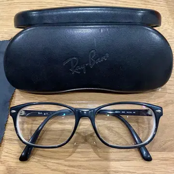 Ray-Ban RB 블랙 안경