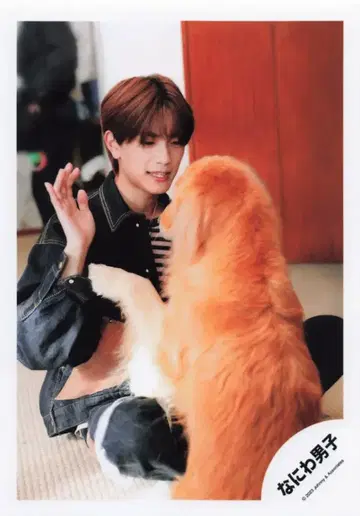 나니와단시 Special Kiss 타카하시 쿄헤이 공식 사진 *1장