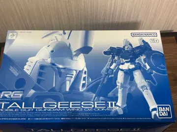 RG 1/144 톨기스 II