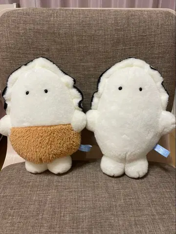 큐신 프렌즈 츠부라나 히토미노 나마가키 카키후라이 2종 세트