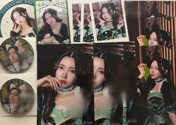 AVAM 코토리유 아미 묶음 판매