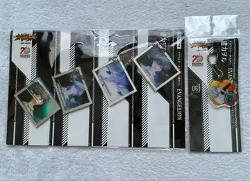 신세기 에반게리온 ~미래로의 포효~ 아크릴 키링 나기사 카오루 2점