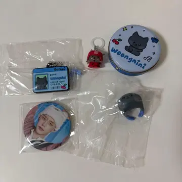 ZB1 제베원 지웅 캡슐 토이 제로니 웅니니