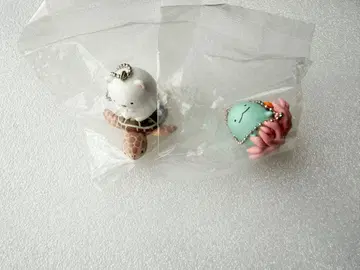 스미코구라시와 오키나와 츄라우미 수족관의 생물들 시로쿠마/토카게