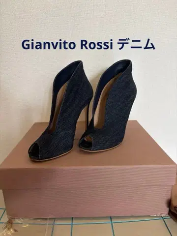 Gianvito Rossi 데님 VAMP 36