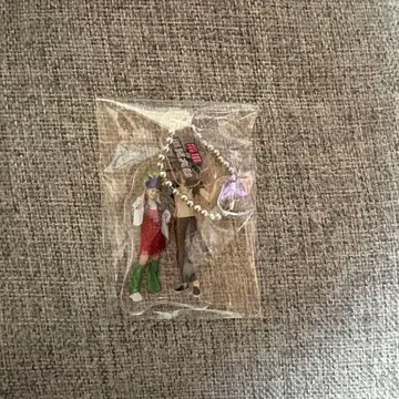 홍생강 축제 아크릴 키링 벽 포스터 엘프