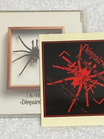 D'espairsRAY / 거미 봉입 스티커 포함