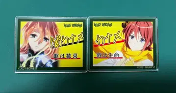 마크로스 빌레반 네임 배지 카나메 세트