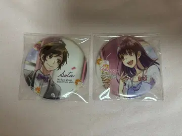 모치즈키 소타 하야사카 아카리 캔뱃지