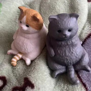 말랑말랑 동글동글 고양이 통통