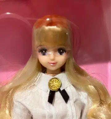 리카짱 캐슬 아벨 제니 프렌드 인형 Jenny