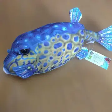 사카나 군 프로듀스! 물고기 봉제 인형 하코후구짱