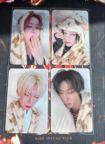 XLOV hellolive 트레이딩 카드 4장 세트