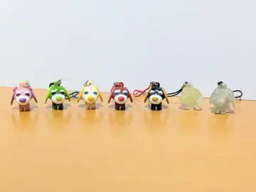 이토엔 오차켄 스트랩 7개 세트