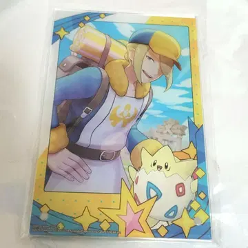 워로 포켓몬 포케마스 메모리얼 사진 아크릴 아트 패널