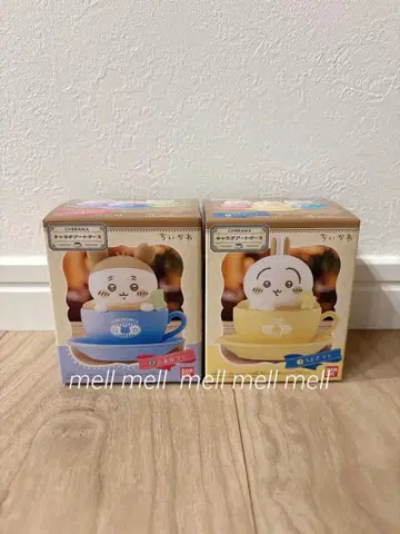 치이카와 캐릭터 아트 케이스 2점