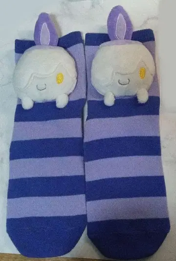 포켓몬스터 히토모시 양말 23~25cm