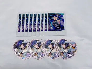 앙스타 에스 파샤츠 푸치푸리 13점