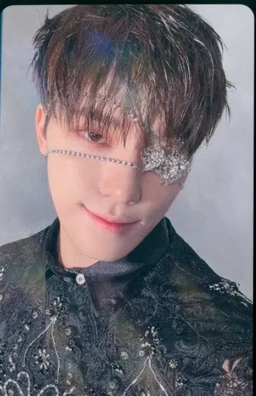 SEVENTEEN WeverseJAPAN DINO 소비기한 홀로그램