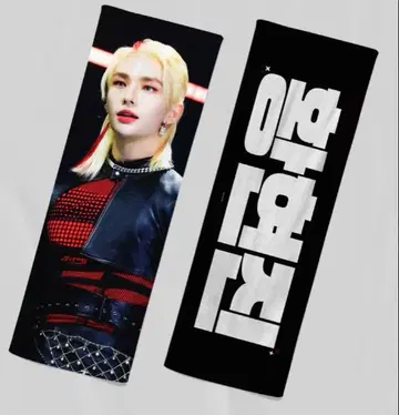 straykids skz 현진 슬로건